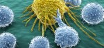 Immunotherapy Treatment