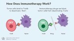 T Cell Immunotherapy