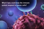 Immunotherapy Cancer Treatment