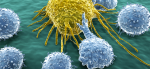 immunotherapy cancer