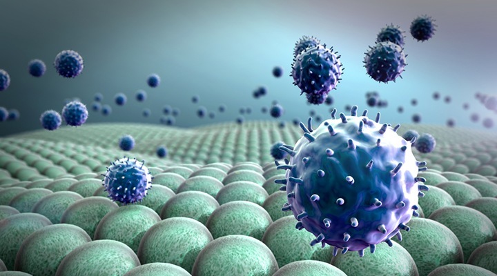 Necroptosis, SAP130, CXCL1 and Immunotherapy