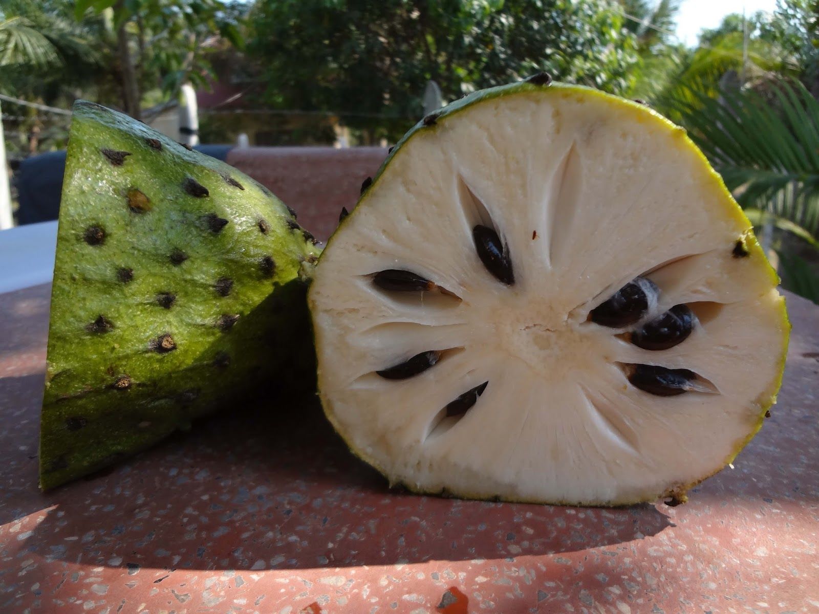 THIS Amazon Fruit: 10,000 Times STRONGER THAN CHEMO