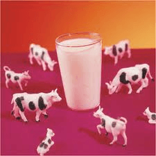 Bad Quality Milk: Cause Of Cancer That You Drink All The Time