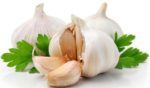 garlic good for cancer