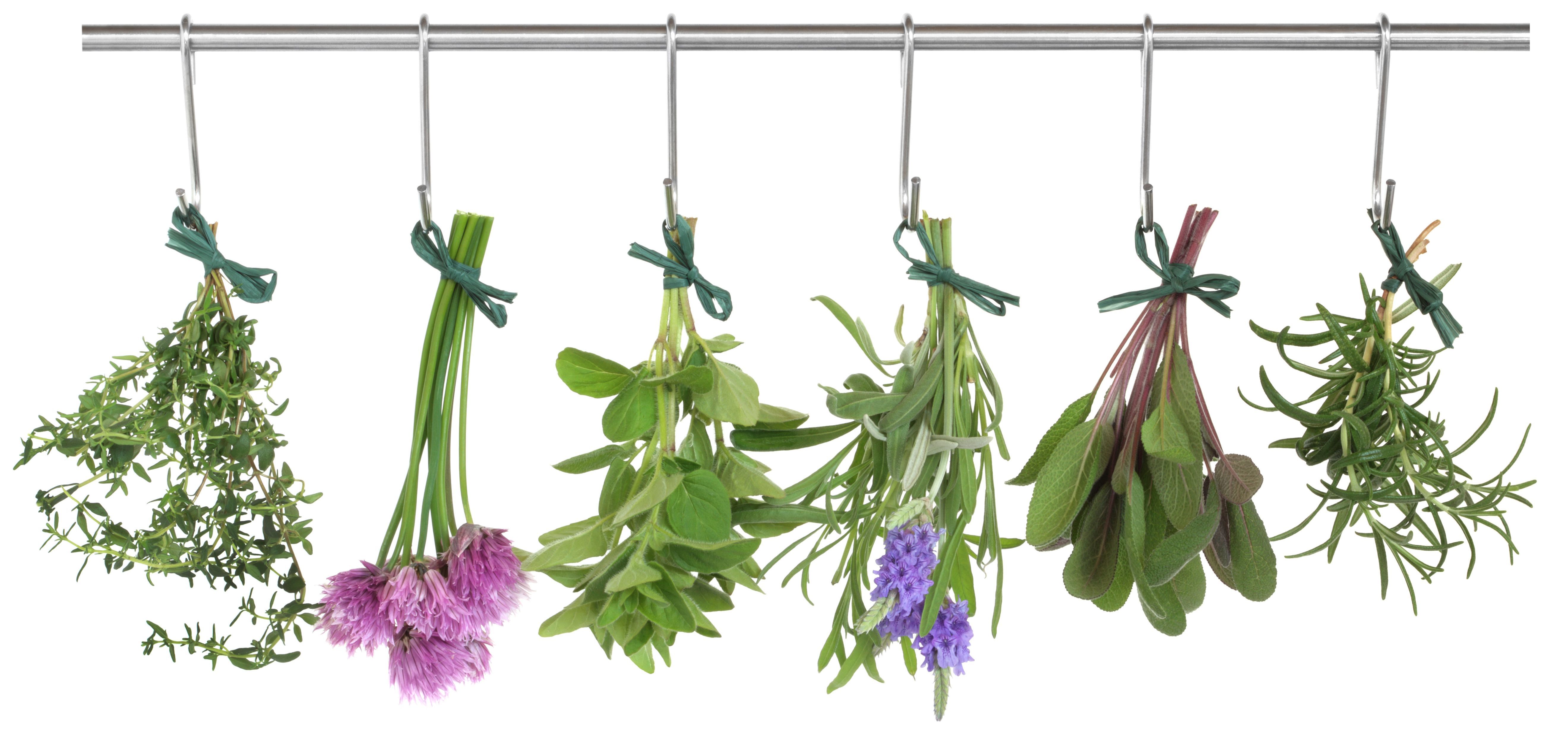 HERBS? These 5 Can Outpace Cancer