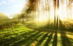 Bright Sunlight Rays Wide Desktop Background