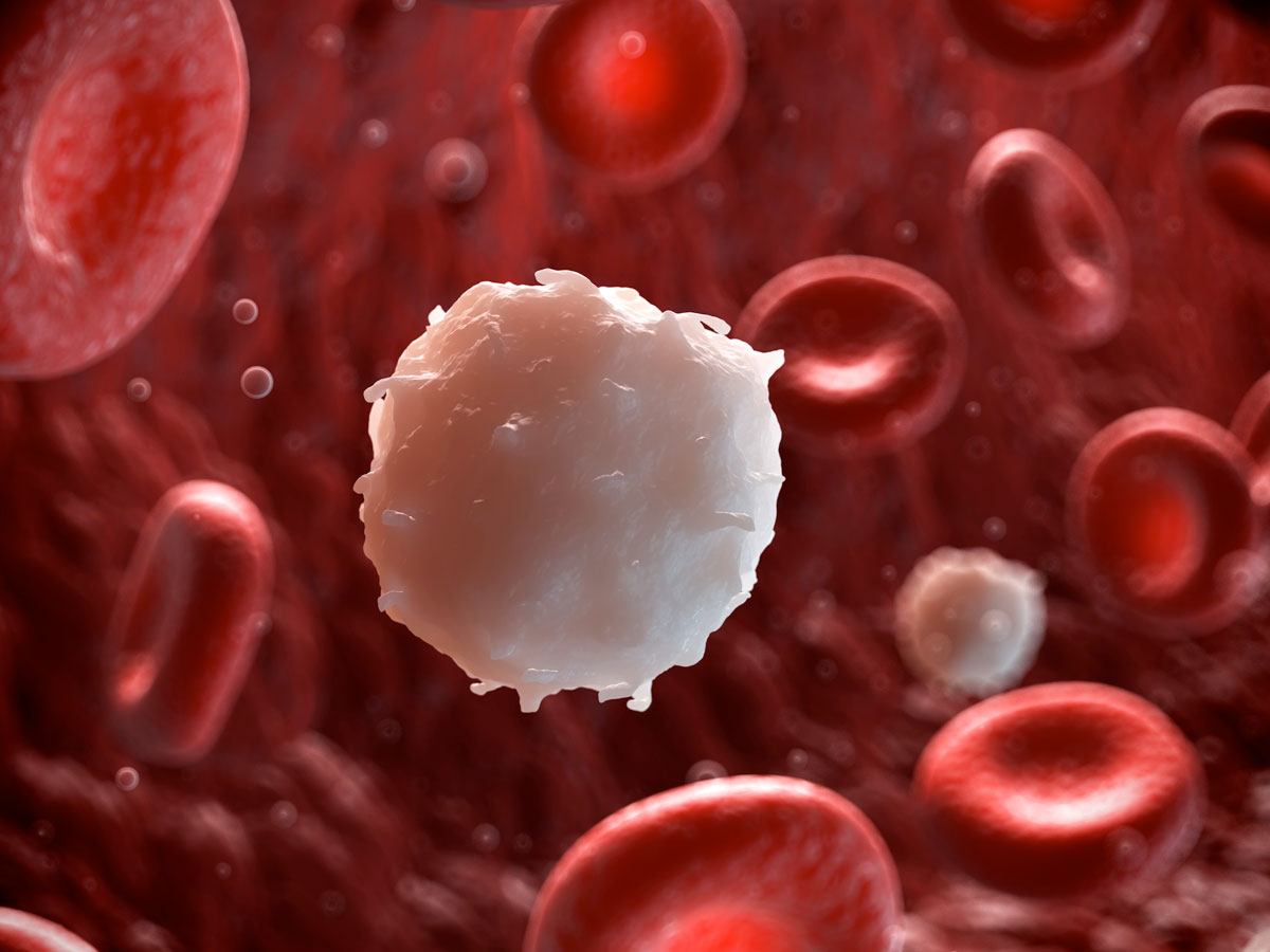 Are You At Risk? How Leukemia Starts in The Body...