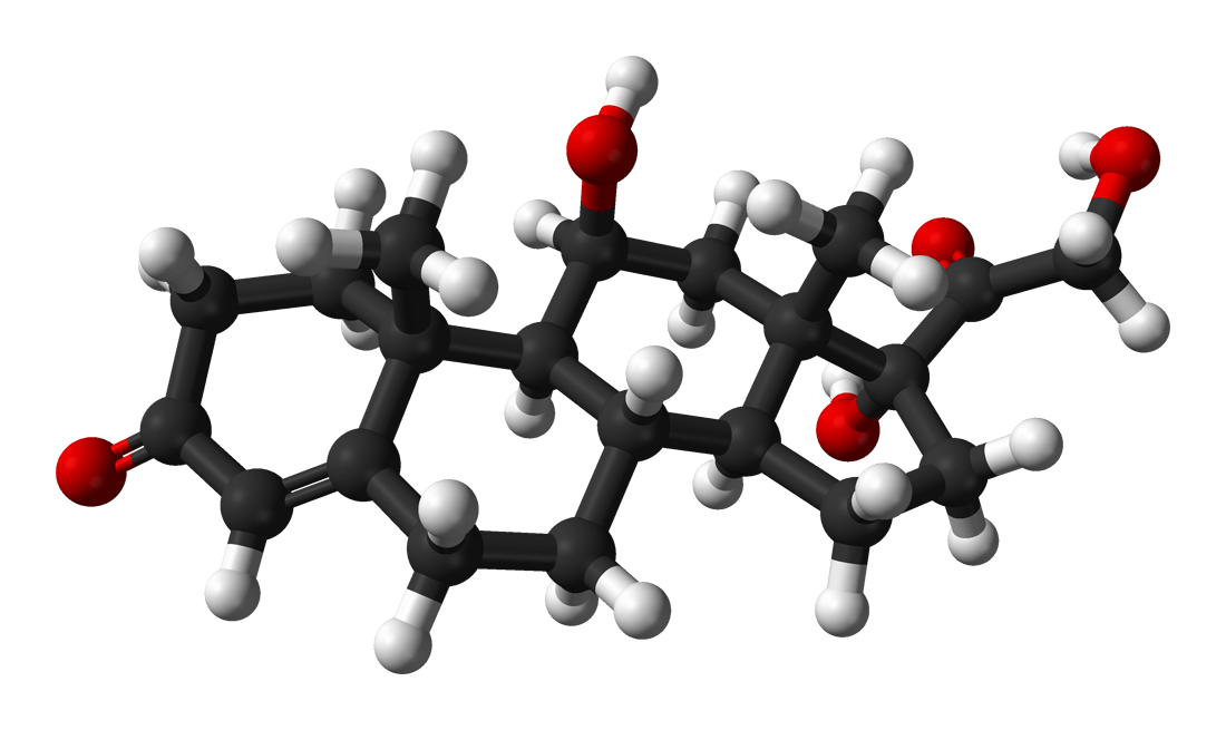 Cortisol: The Root Of All Evils Or The Root Of All Health?