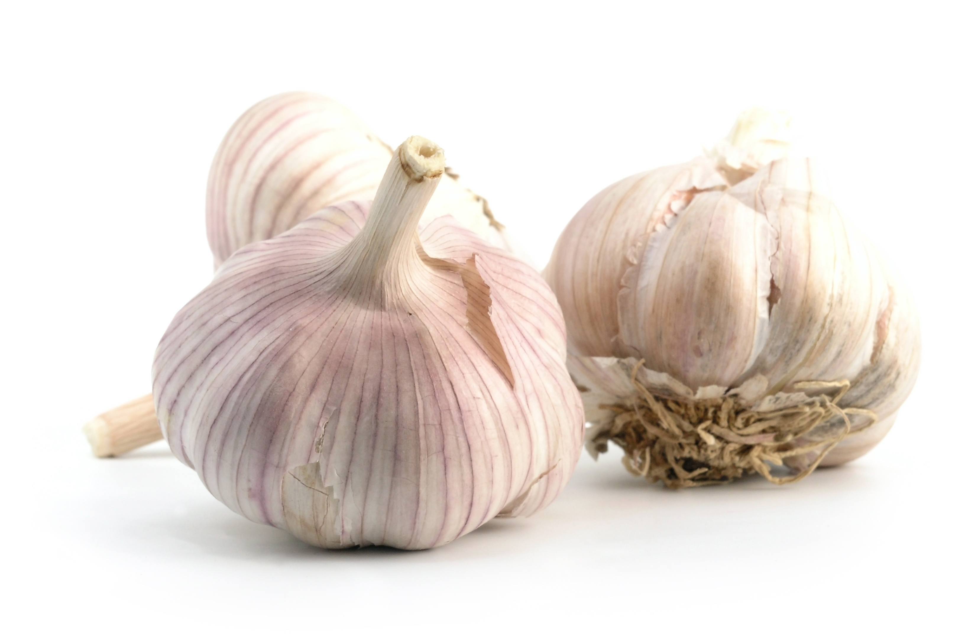 Is It Possible For Garlic To Serve As An Antibiotic?