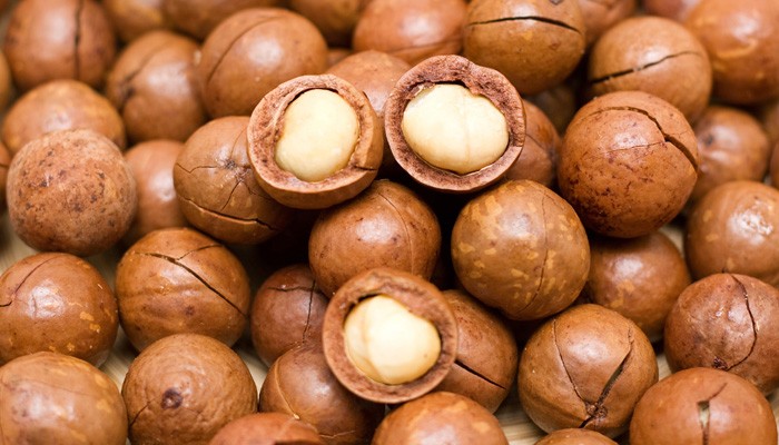 6 Reasons Why You Should Be Eating More Macadamia Nuts