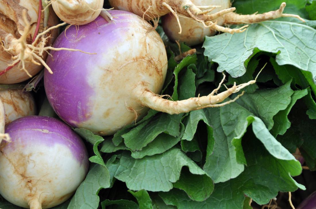 Turnip Greens: What Can This Super Special Plant Do For You?