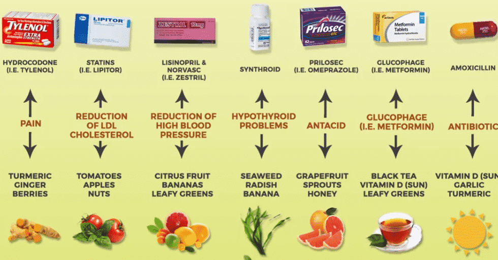 Cool Chart Shows Main-Stream Medicine And Their Food Counterparts