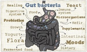 Microbiome