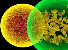 immunotherapy