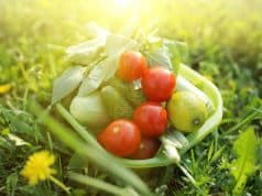 nutrition