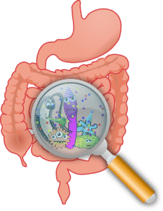 microbiome cancer
